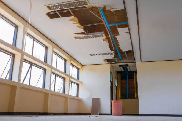 Best Water damage restoration near me  in Gainesville, VA