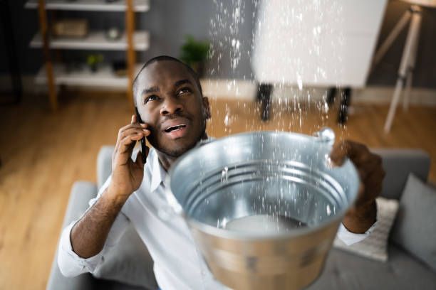 Best Flooded house restoration  in Gainesville, VA
