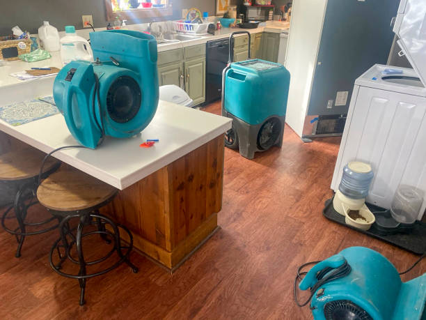 Best Emergency water damage restoration  in Gainesville, VA
