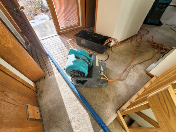 Water damage restoration insurance claims in VA