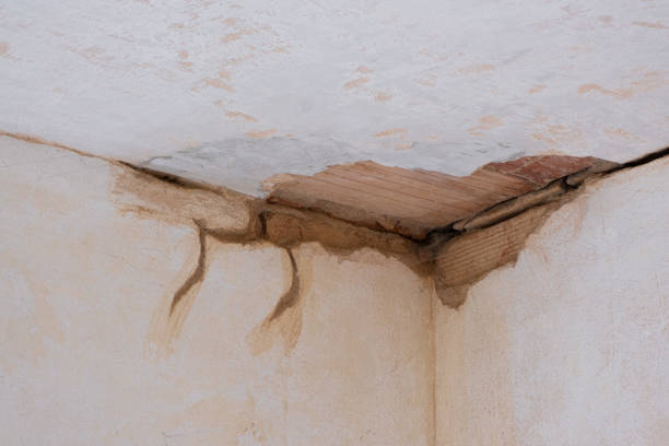 Best Residential water damage restoration  in Gainesville, VA