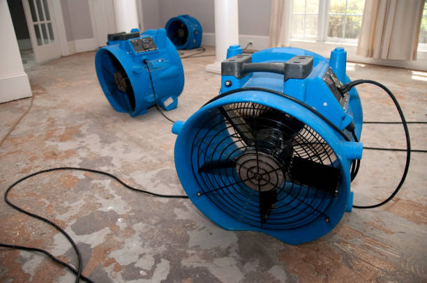 Best Water damage mitigation services  in Gainesville, VA