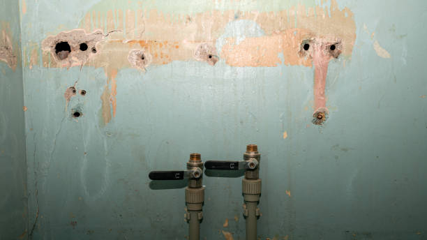 Best Water damage restoration near me  in Gainesville, VA
