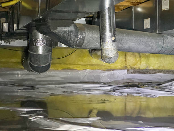 Best Water damage contractors near me  in Gainesville, VA