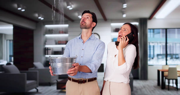 Best Ceiling water damage repair  in Gainesville, VA