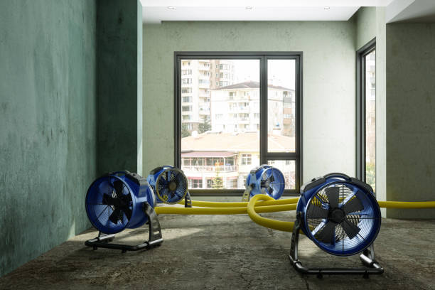 Best Ceiling water damage repair  in Gainesville, VA